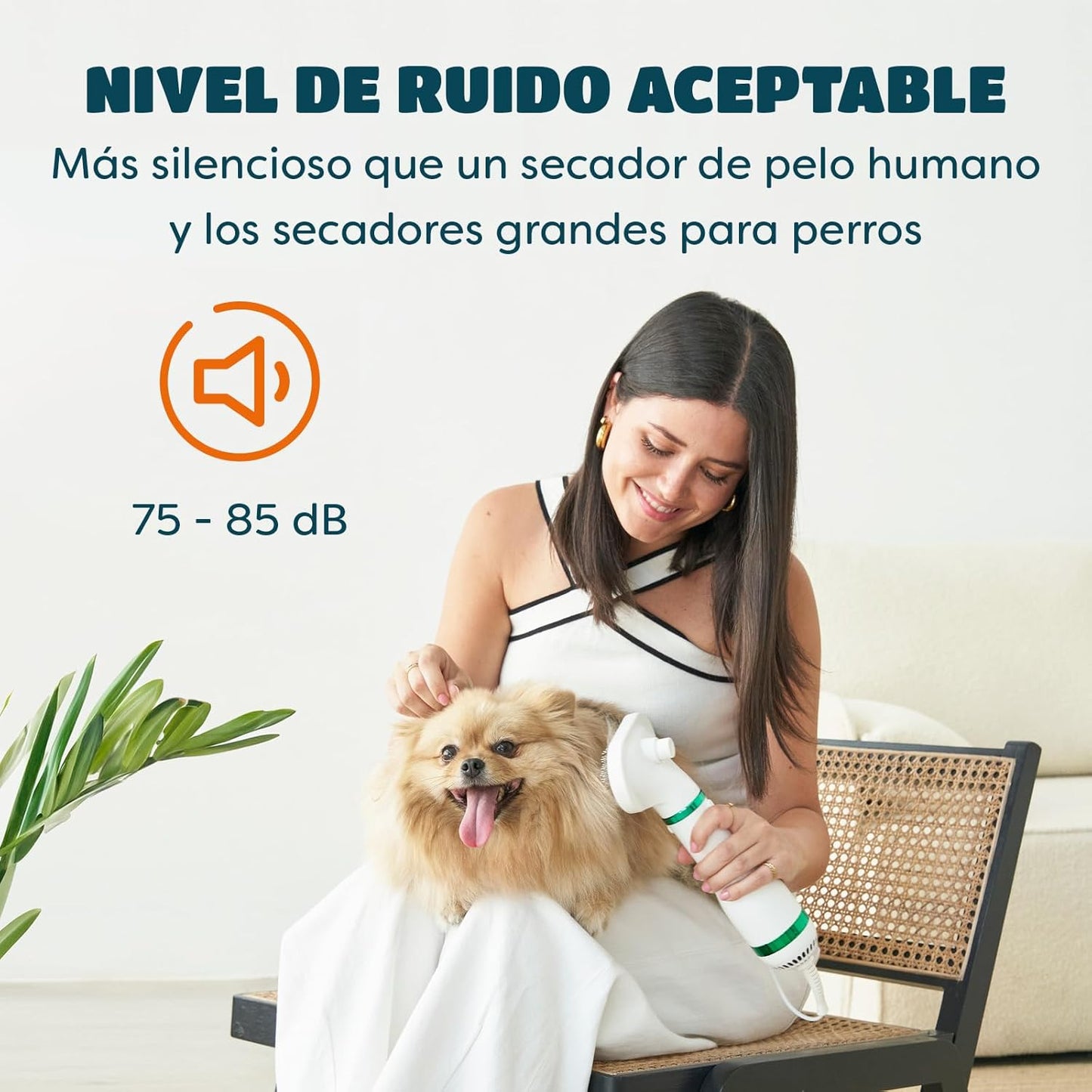 BlowPaw - Edición Limitada